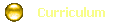Curriculum
